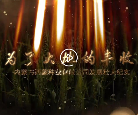宣传片
