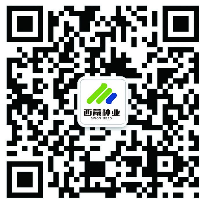 微信公众号
