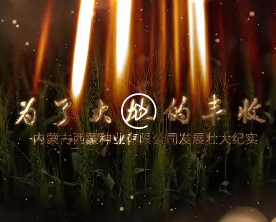 宣传片