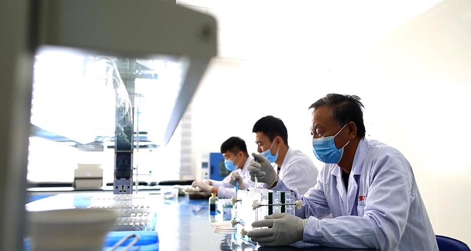 科研图展示
